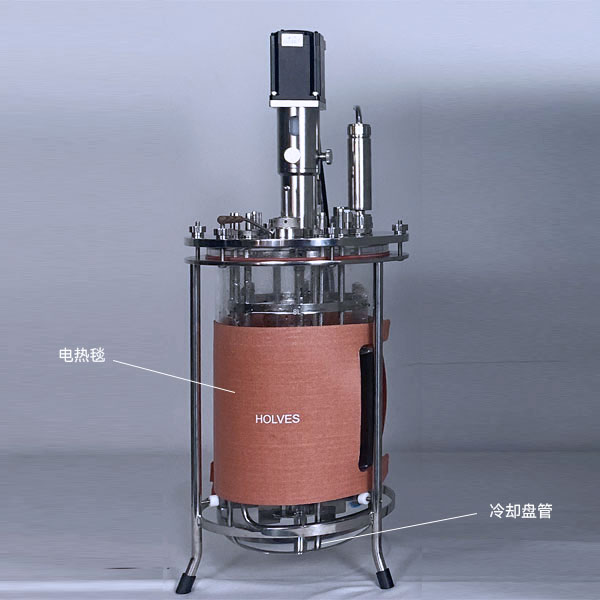 JIUYOU(HOLVES)实验发酵罐 JIUYOU(HOLVES)实验发酵罐
