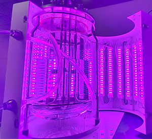 光照生物反应器光照系统 光照生物反应器光照系统