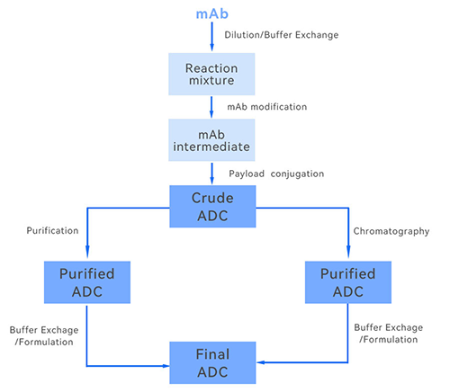 ADC生产图示 ADC生产图示